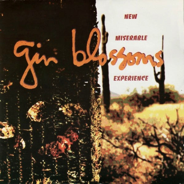 Gin Blossoms – New Miserable Experience CD