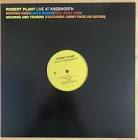 Robert PLant - Live At Knebworth LP