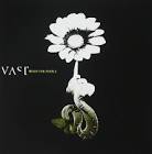 Vast - Music For People LP